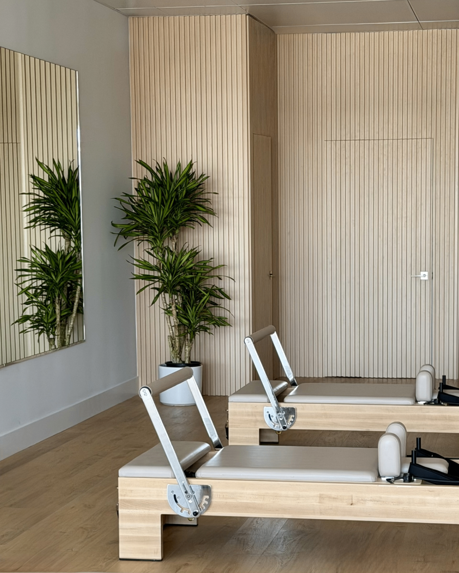 A quiet corner of the Casa Pilates studio
